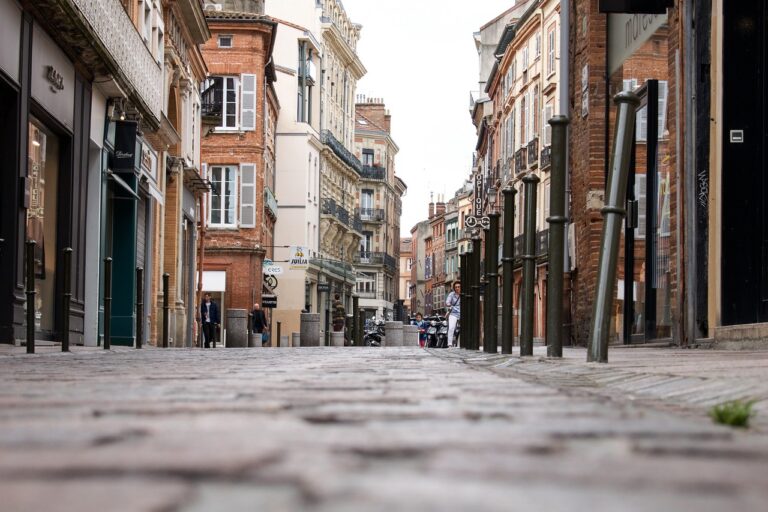 investissement locatif toulouse