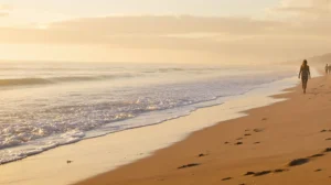 meilleur paradis fiscal