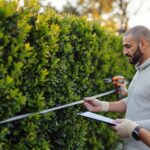 loi sur les haies entre voisins